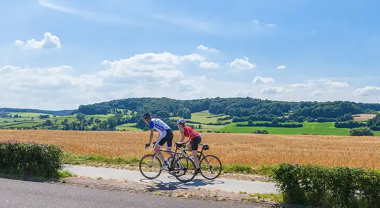 Holiday home in Mechelen