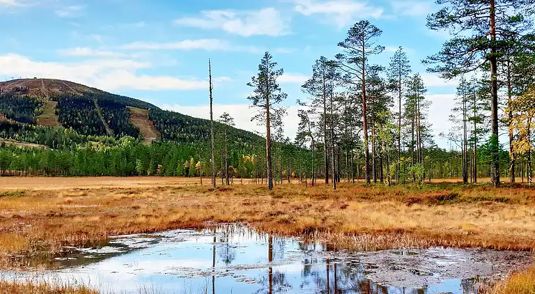 Casa vacanze in Malung NV