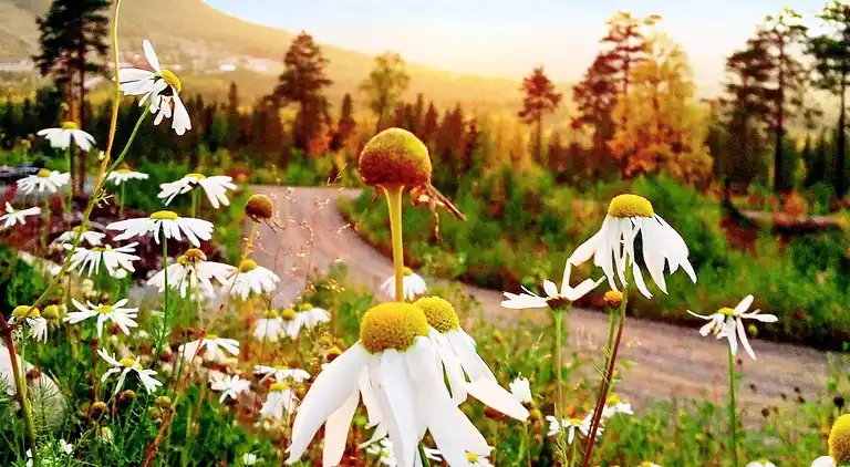 Casa vacanze in Malung NV