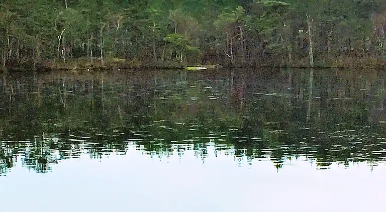 Holiday home in Norrköping NV