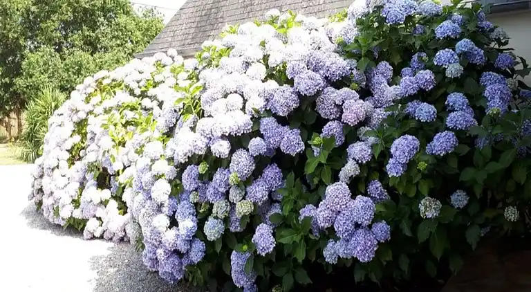 Holiday home in Andel