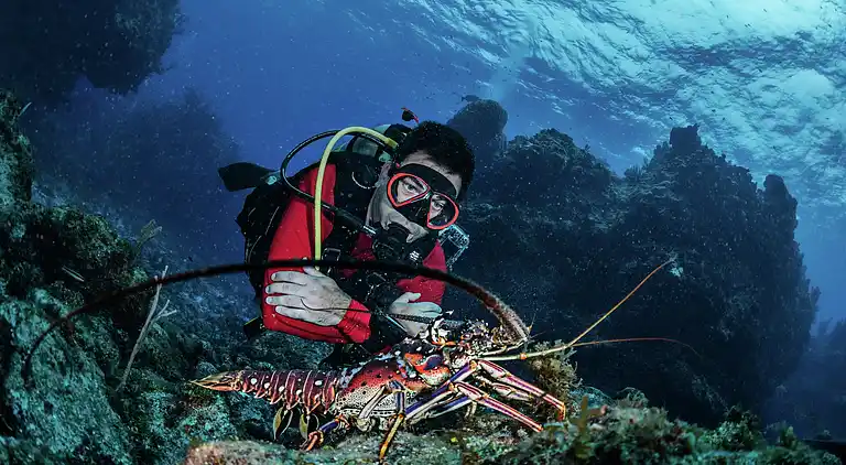 Semesterbostad i Wemeldinge