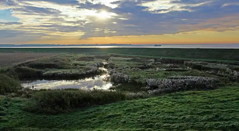 Sommerhus i Wemeldinge