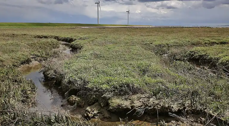 Sommerhus i Wemeldinge