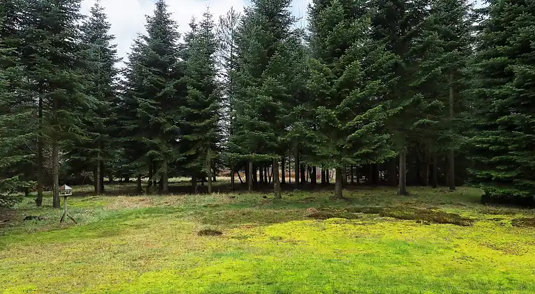 Holiday home in Fjerritslev