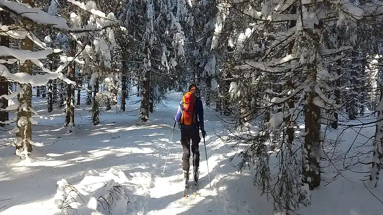 Sommerhus i Medebach