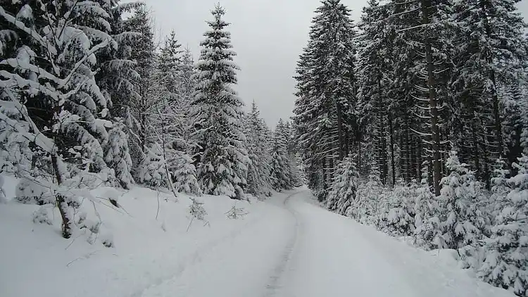 Sommerhus i Medebach