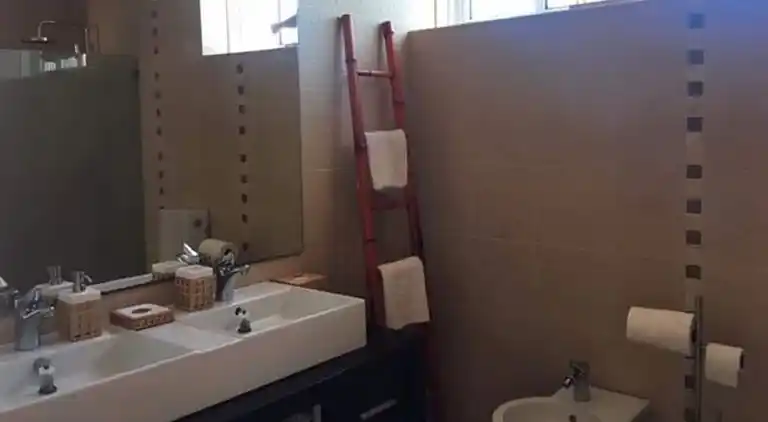 Villa in S Vicente Ferreira