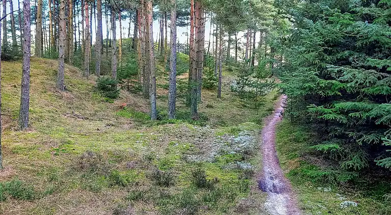 Holiday home in Fjerritslev