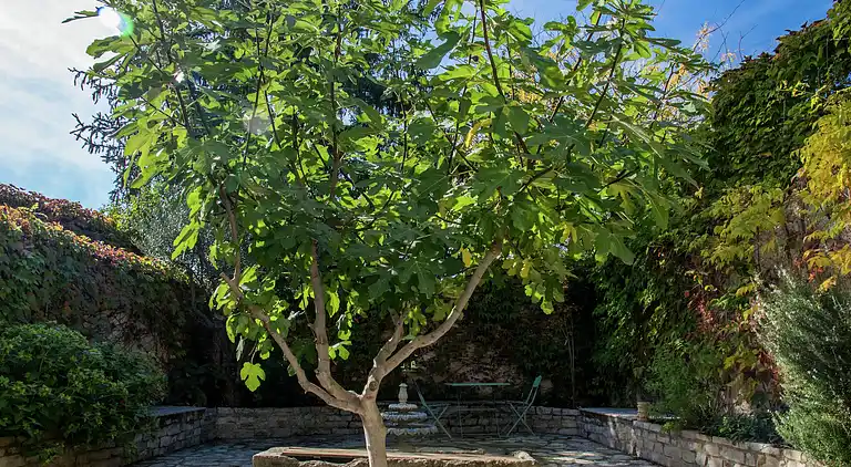 Holiday home in Lignan-sur-Orb