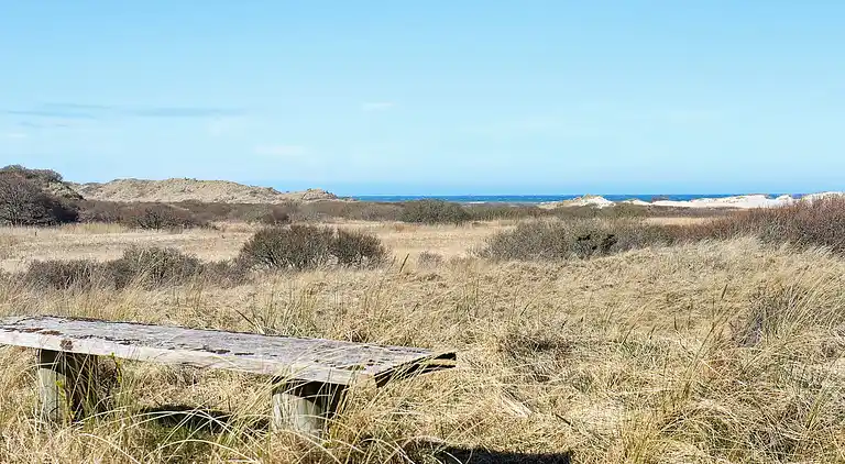 Holiday home in Bindslev