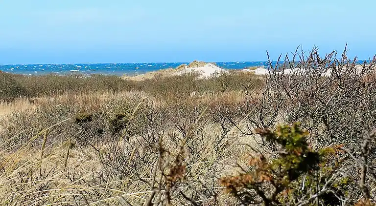 Holiday home in Bindslev