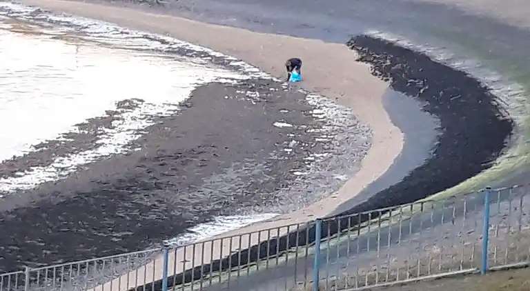 Feriebolig i Lauwersoog