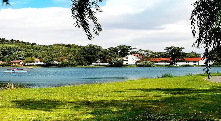 Appartement in Nauendorf