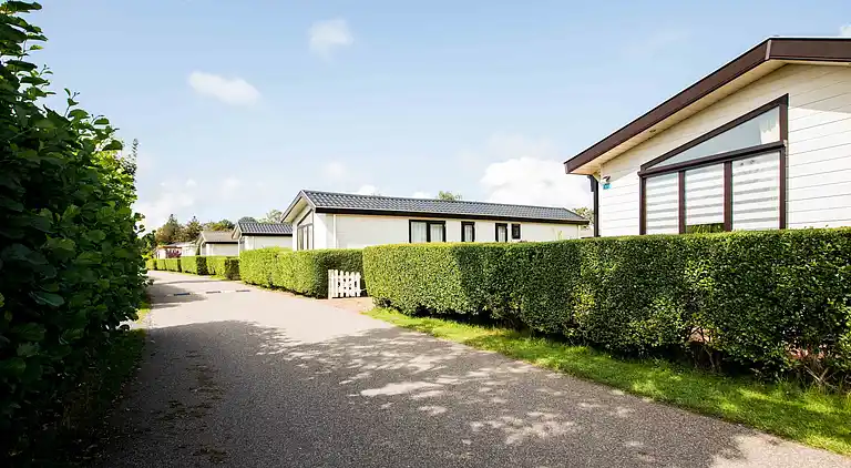 Cottage in Egmond aan den Hoef