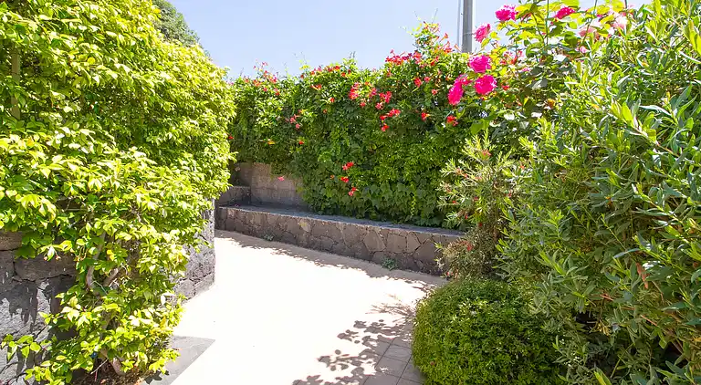 One Bedroom Apartment With Garden View