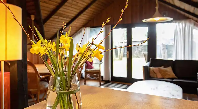 Vakantiehuis in Væggerløse