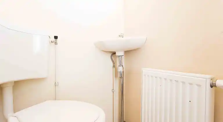 Cottage in South Holland