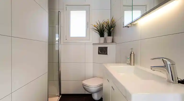 Cottage in South Holland