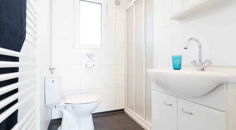 Cottage in South Holland