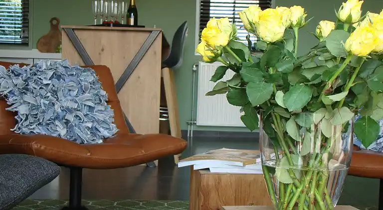 Farm house in Zuidzande