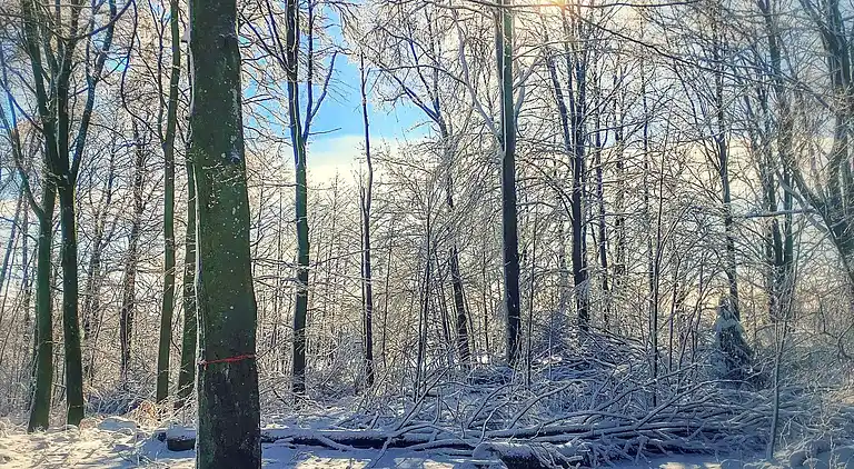 Holiday home in Hässleholm Ö