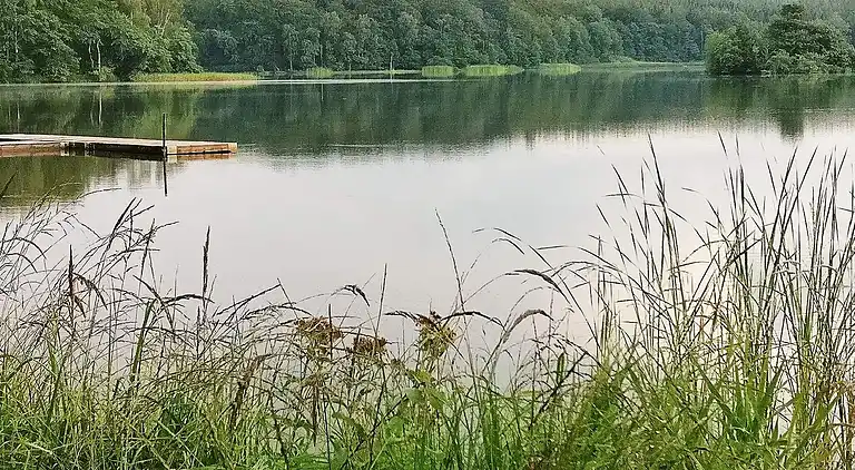 Holiday home in Hässleholm Ö