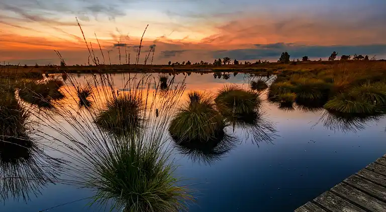 Ferielejlighed i Waimes