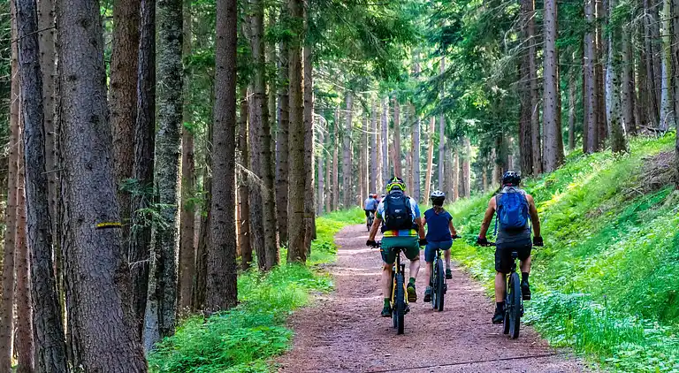 Ferielejlighed i Waimes