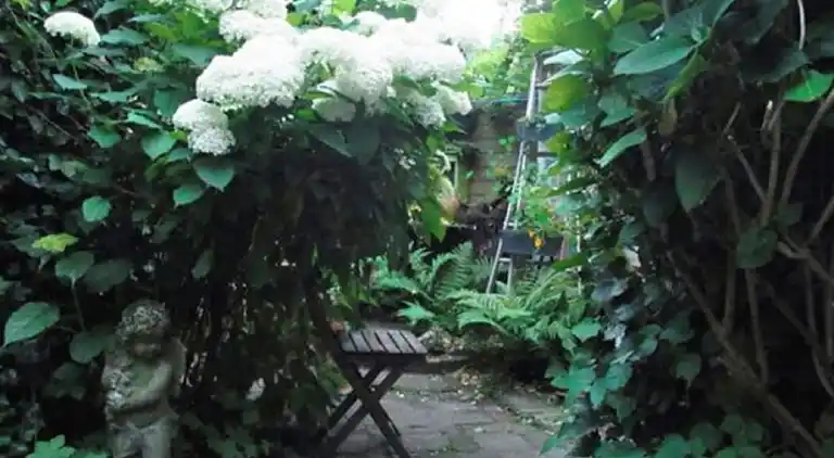 Semesterbostad i Haarlem