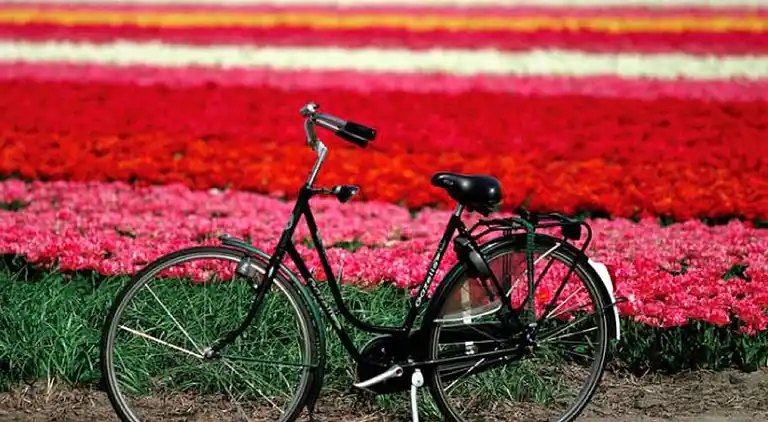 Semesterbostad i Haarlem