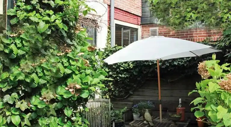 Semesterbostad i Haarlem