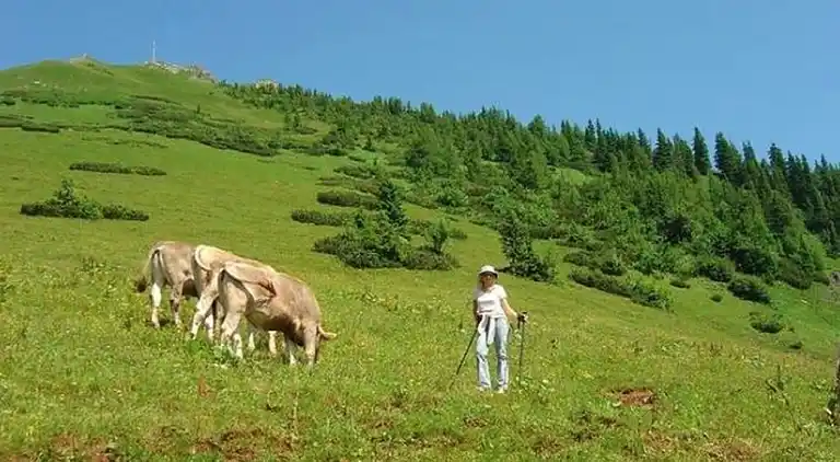 Apartment in Vordernberg