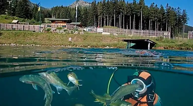 Apartment in Vordernberg