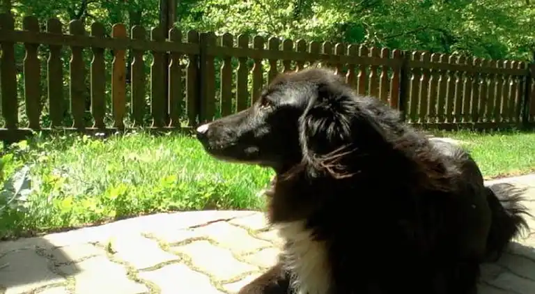 Apartment in Vordernberg