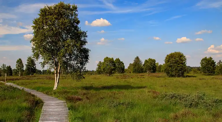 Holiday home in Robertville