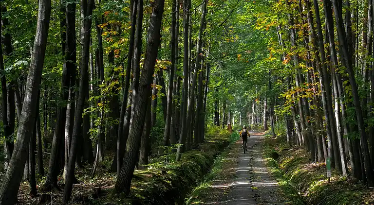 Holiday home in Robertville
