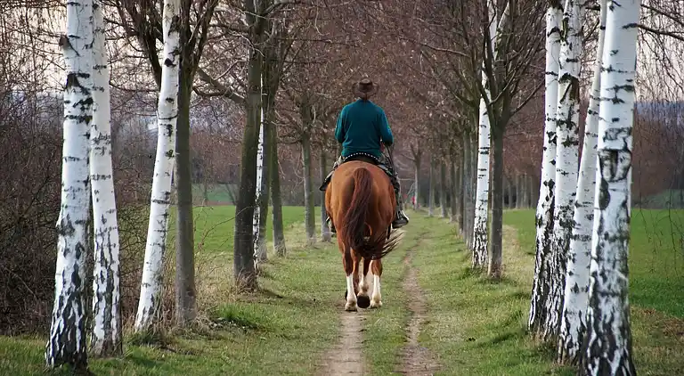 Holiday home in Robertville