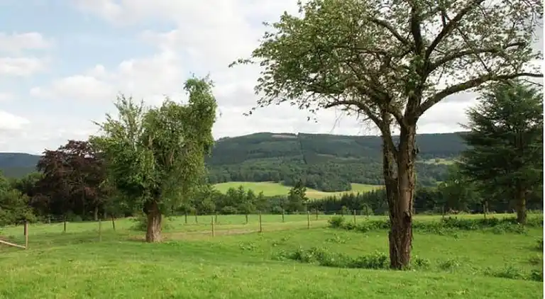 Holiday home in Stoumont