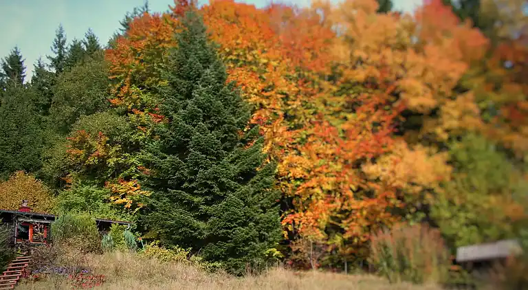 Holiday home in Stadlern