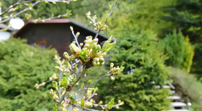 Holiday home in Stadlern
