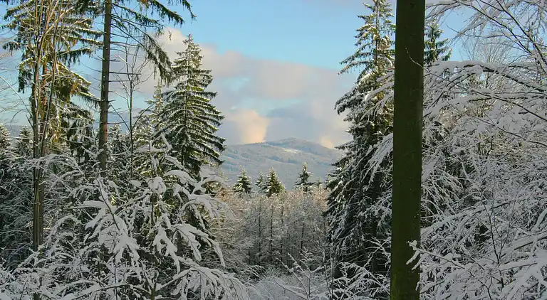 Holiday home in Stadlern