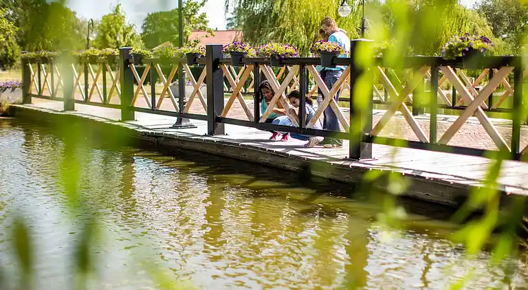 Cottage in Lichtenvoorde