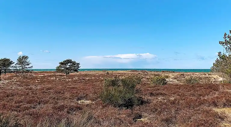 Vakantiehuis in Læsø