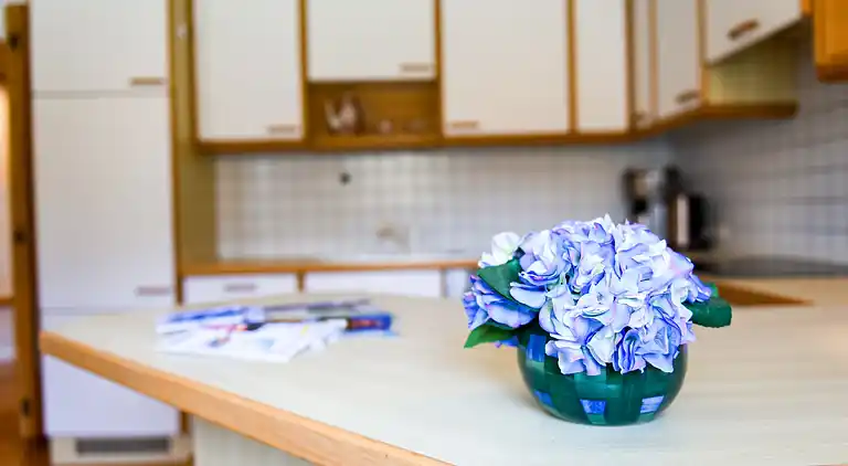 Ferielejlighed i Rattenberg