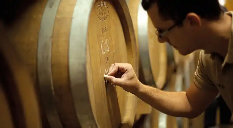 Gårdhus i Brnobići