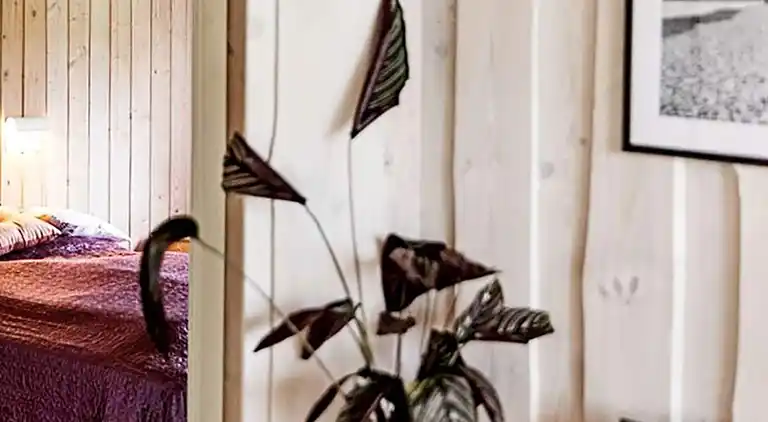 Holiday home in Skovmose