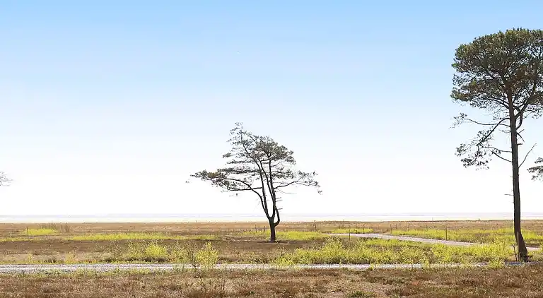 Holiday home on Læsø