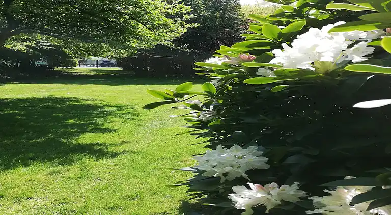 Villa i Godveerdegem