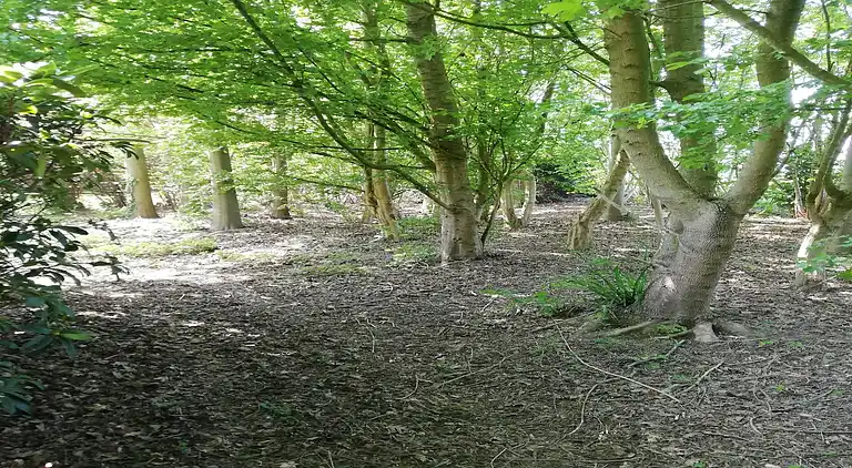 Villa i Godveerdegem